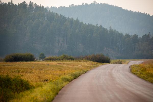 Driving The Wildlife Loop In Custer State Park By Katie Linsky Shaw