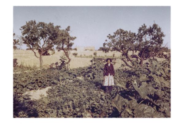 The Eyes of Earth -  Photo taken by my uncle 1980 shows my grandmother standing in her orchard. When the shrinking of...
