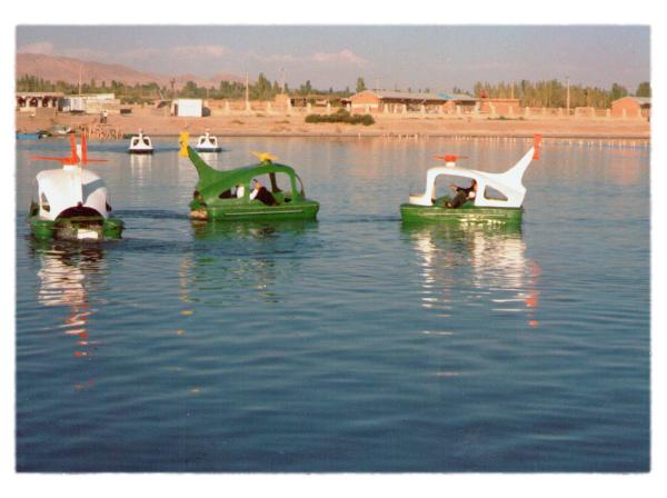 THE EYES OF EARTH (THE DEATH OF LAKE URMIA 2014-ONGOING) - Pedal boats built by my uncle and rented to vacationers who visited the lake during summer...