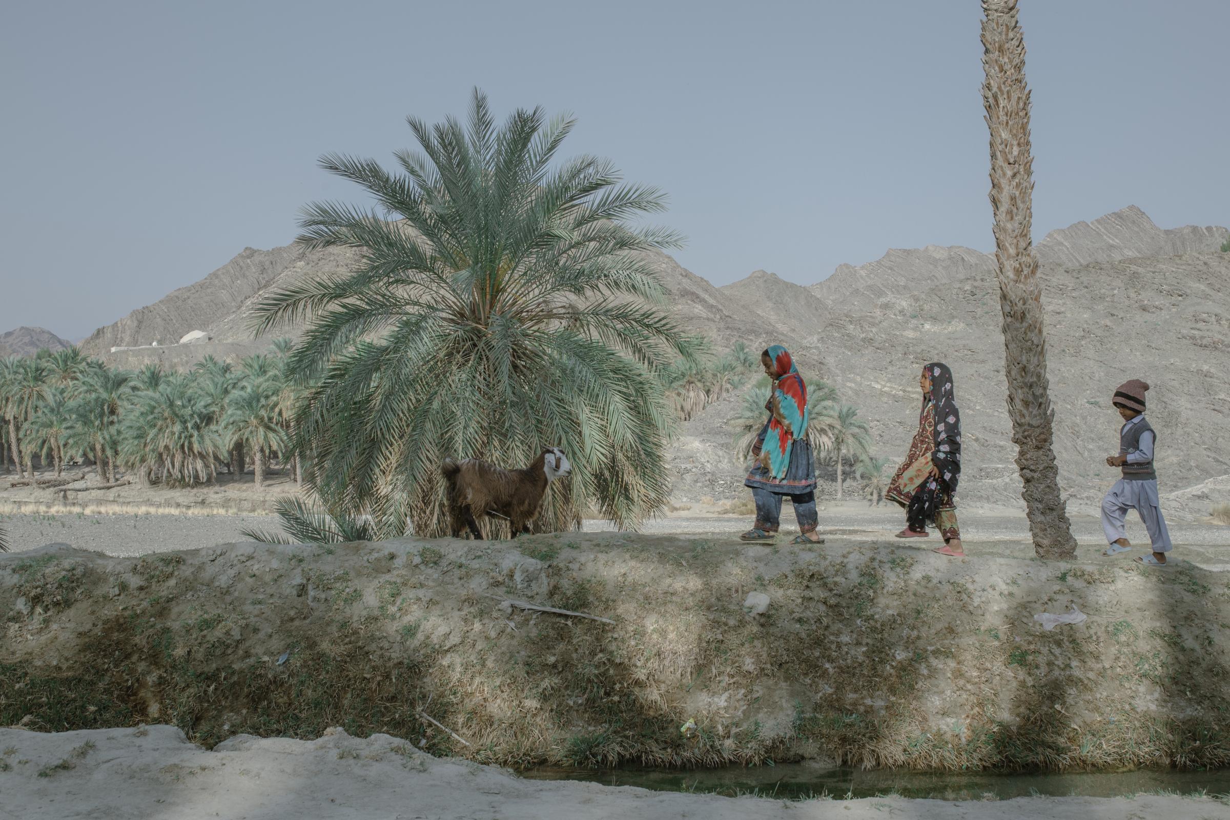 IN THE DESERT OF WETLANDS -   A boy walks from his village toward the dirt road of...