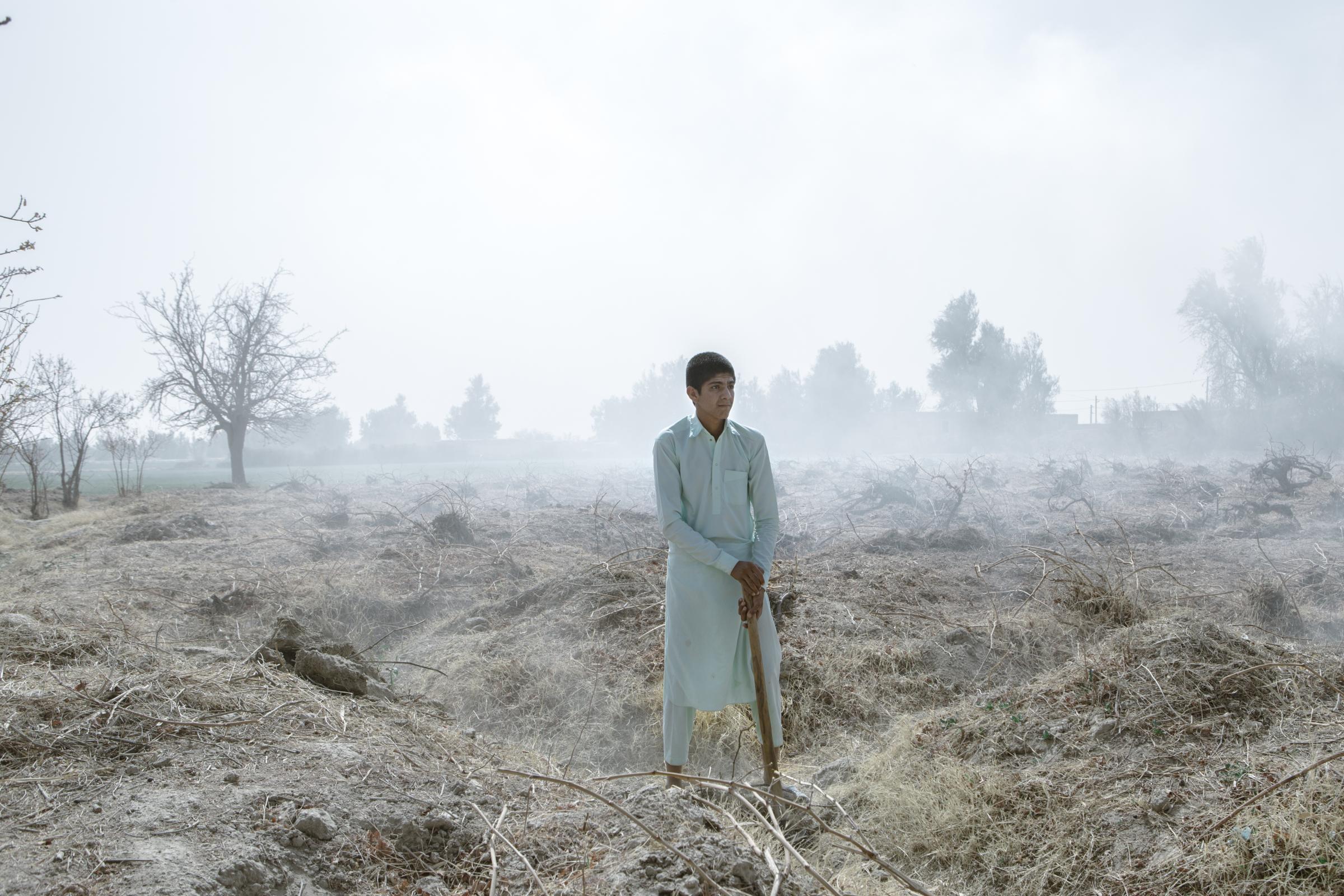 IN THE DESERT OF WETLANDS -   Mohammad, 16, is preparing the land for farming with...
