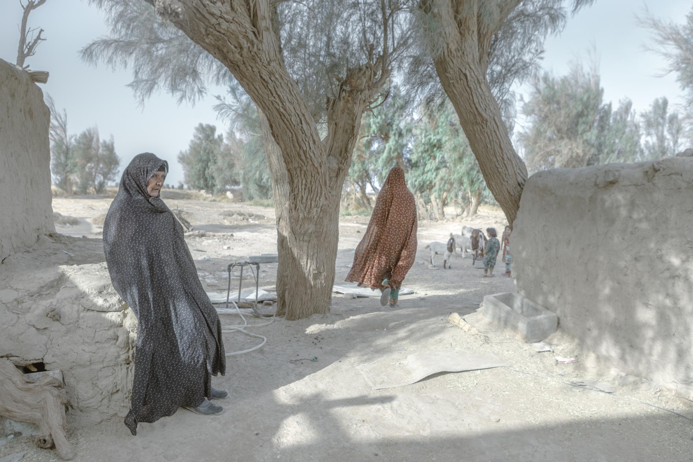 IN THE DESERT OF WETLANDS -   Bozorg Baravai, around 70 years old from Helmand region...