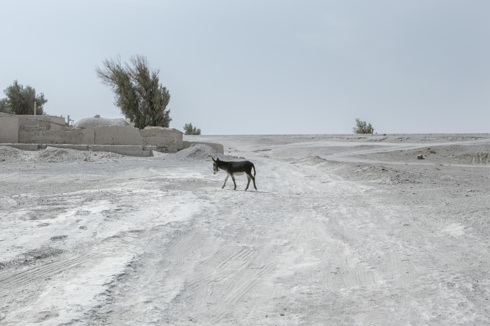IranHamun_Lake WaterCrisis_IranClimateChange Solmaz Daryani