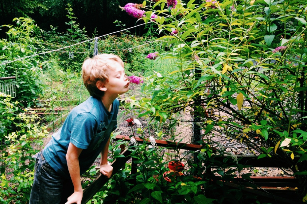 Ethan smells the flowers in the sensory garden. July, 2013.