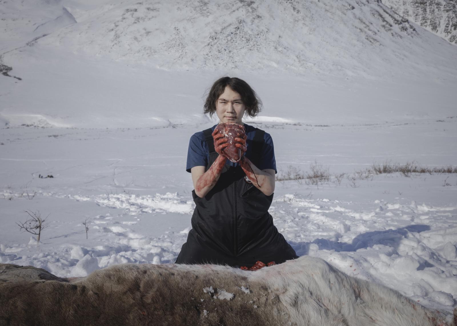 Vanishing Caribou - Daniel Morry, 15, holds a caribou heart after a...