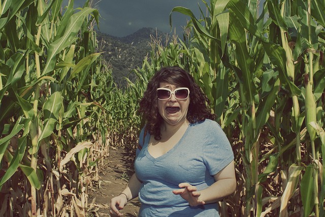 i saw god in a cornfield