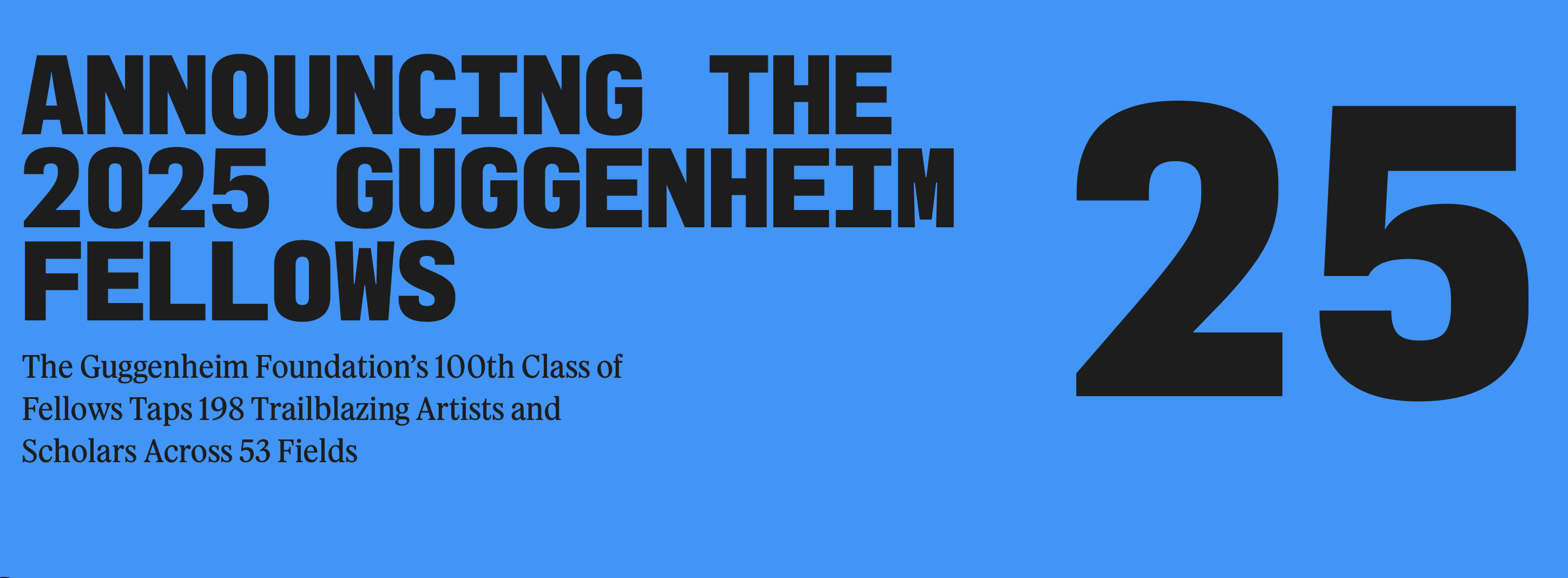 Guggenheim Fellowship/Photography