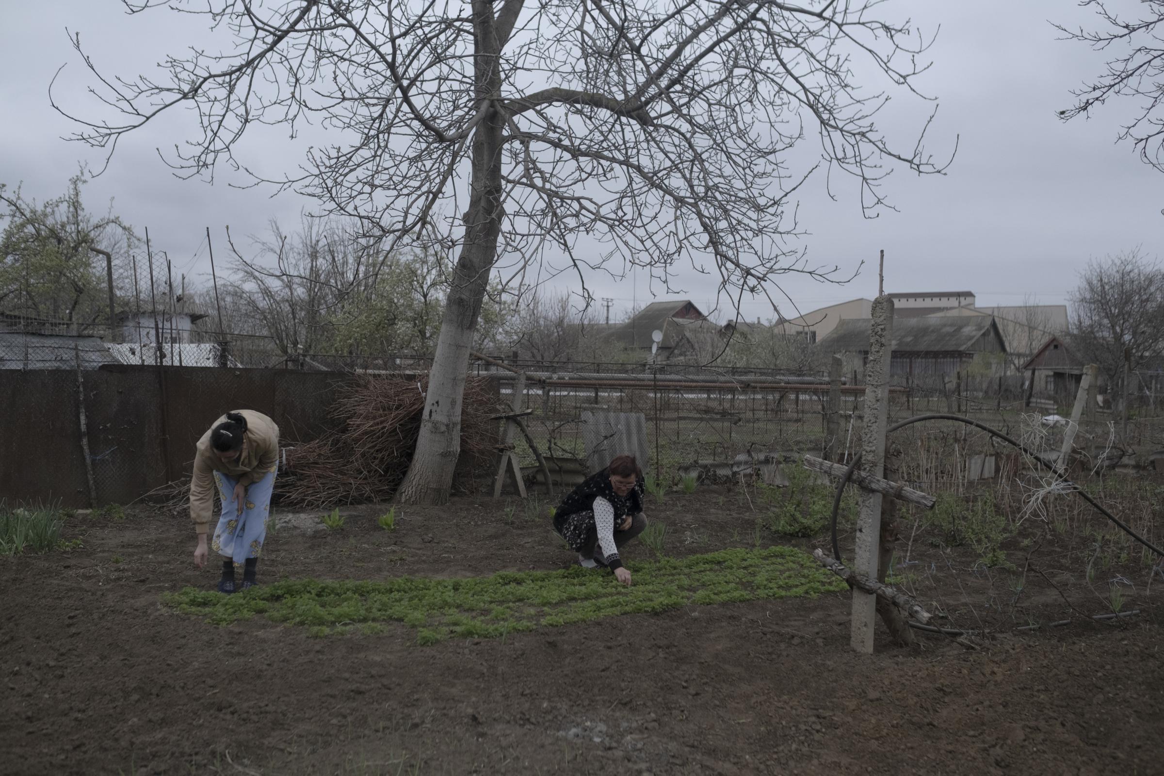 Moldovans who sheltered Ukrainian refugees at home - Lyuda is helping Nina in the garden.