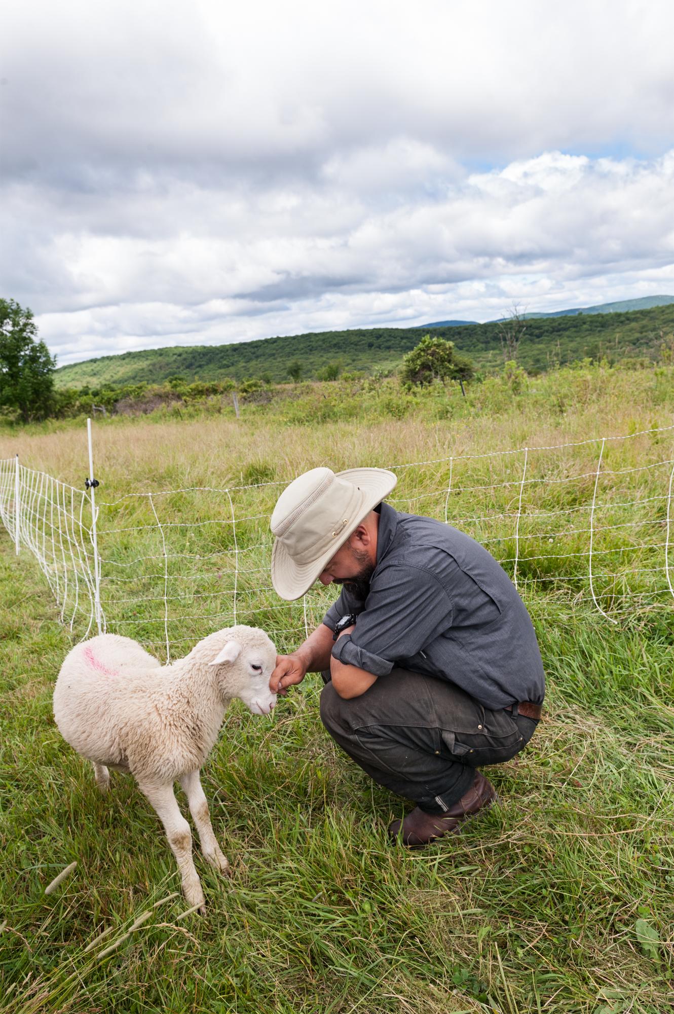 Considered - Farmer James with his favorite lamb. When I asked him if...