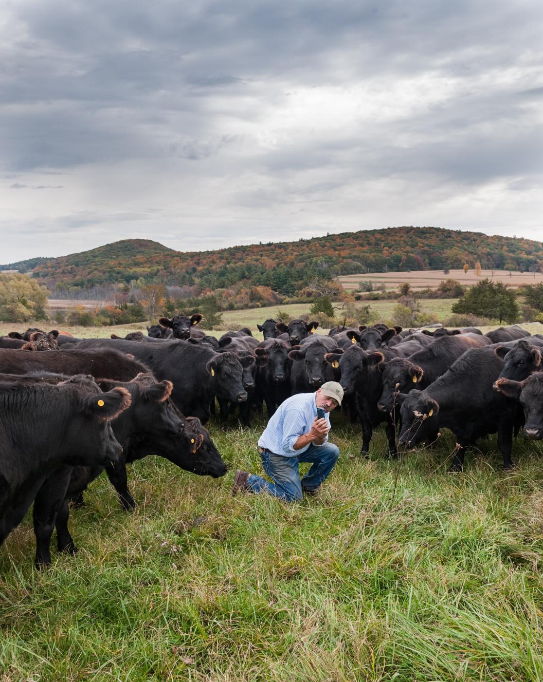Farmer Allen updates the status...for each of his cows.&nbsp;