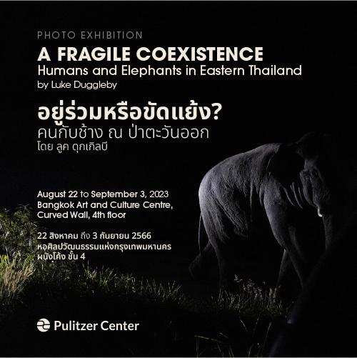 A Fragile Coexistence to be exhibited in Bangkok