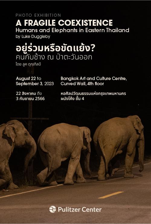 A Fragile Coexistence to be exhibited in Bangkok