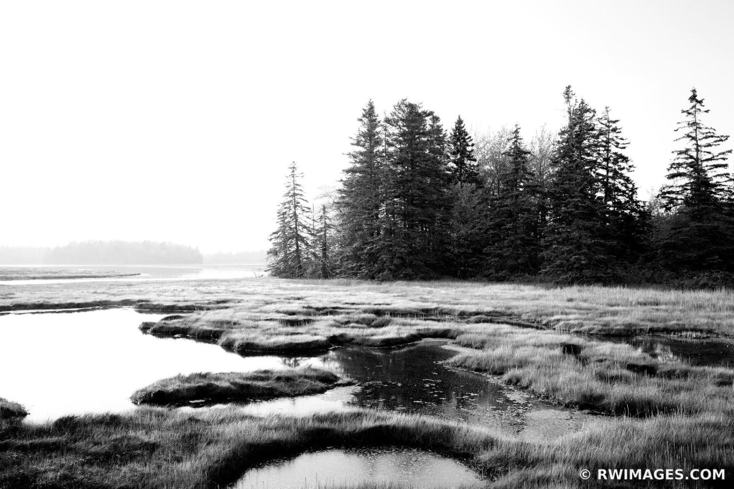 PRETTY MARSH AREA ACADIA NATION...https://www.rwimages.com/index 