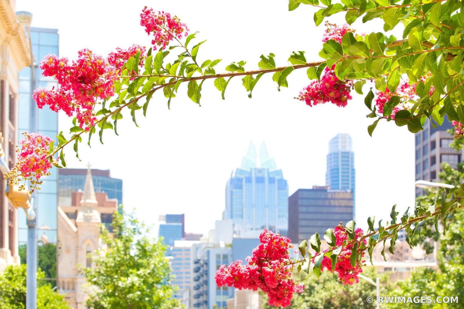 Thumbnail of DOWNTOWN AUSTIN TEXAS IN SPRING _ https://www.rwimages.com/index 