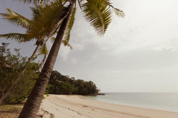 Contadora Island 1 | Buy this image