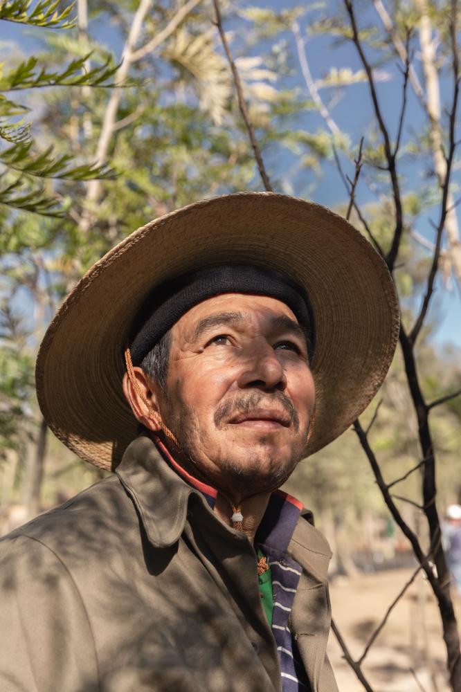 Image from PORTRAITS - Antonio Fuente, 58, has been working in the nursery for...