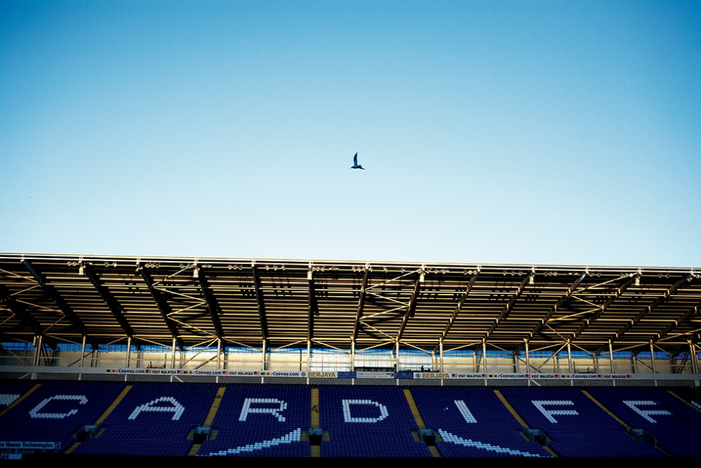 27.10.2013 - Cardiff City FC - ...and stirred an identity crisis.