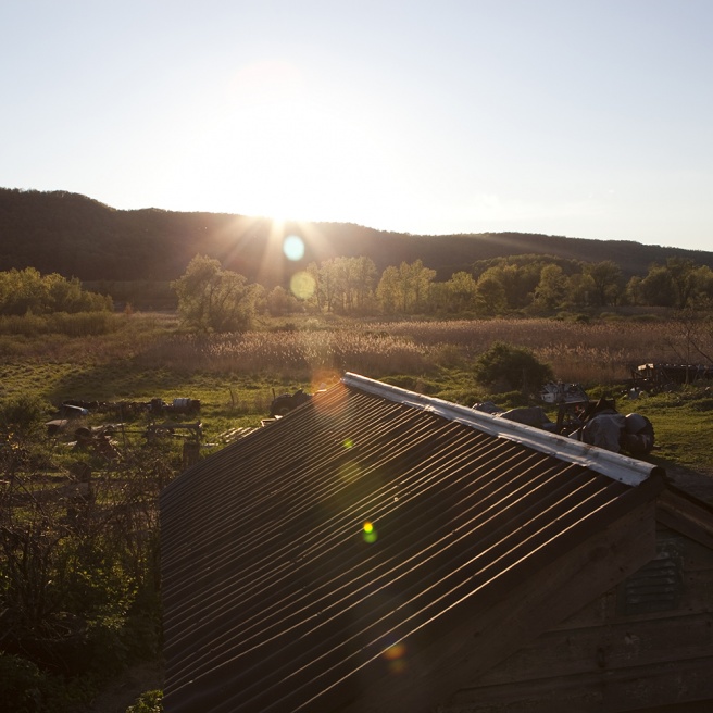 Art and Documentary Photography - Loading 12laurenhermele_thelaststop.jpg