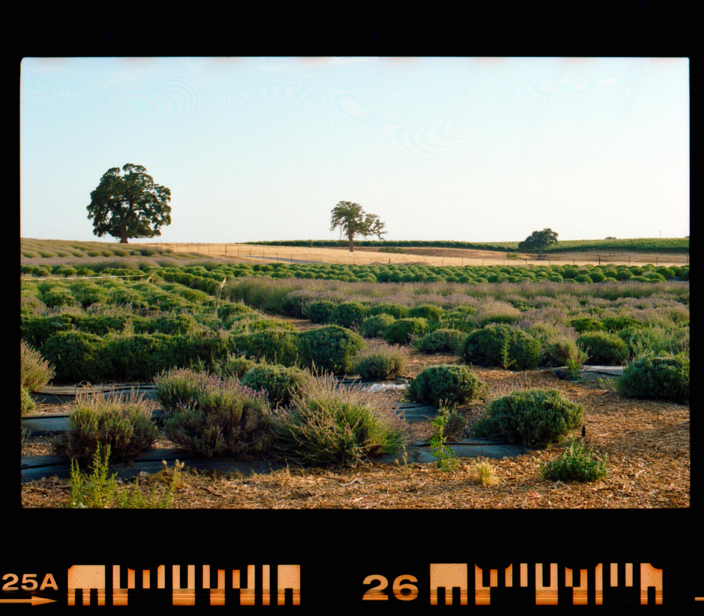 2021 / Snapshots