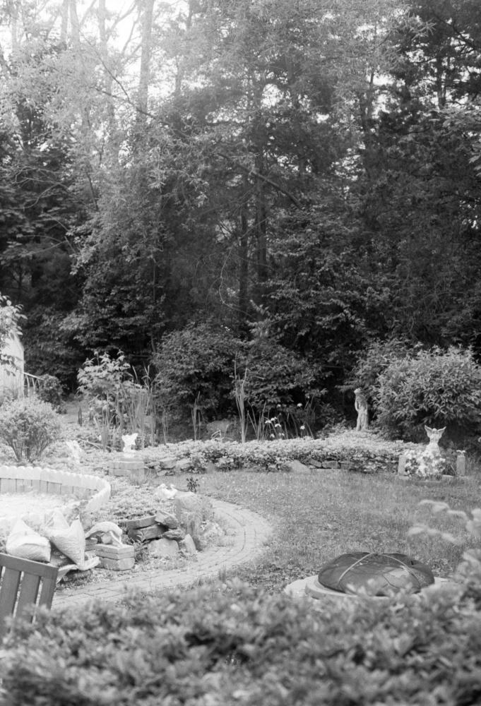 The Backyard, Pennsylvania, May 2021&nbsp;