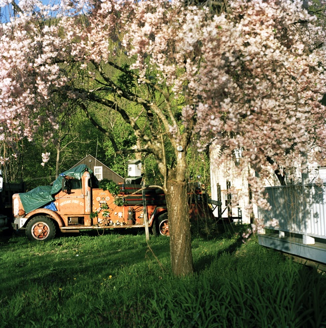 Art and Documentary Photography - Loading 35laurenhermele_thelaststop.jpg