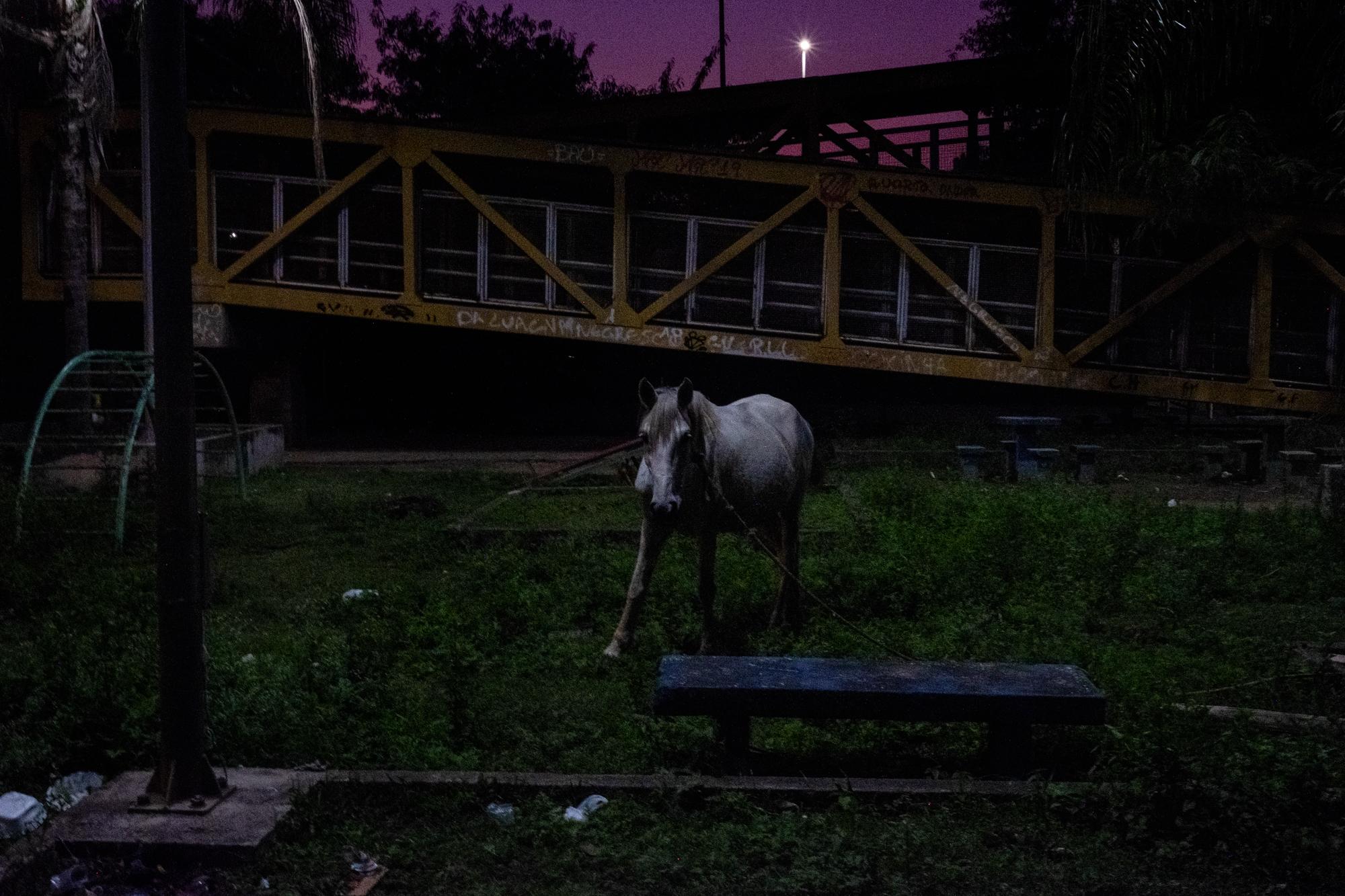 Nós por Nós - A horse tied to a bench in a parkette in the City of God...