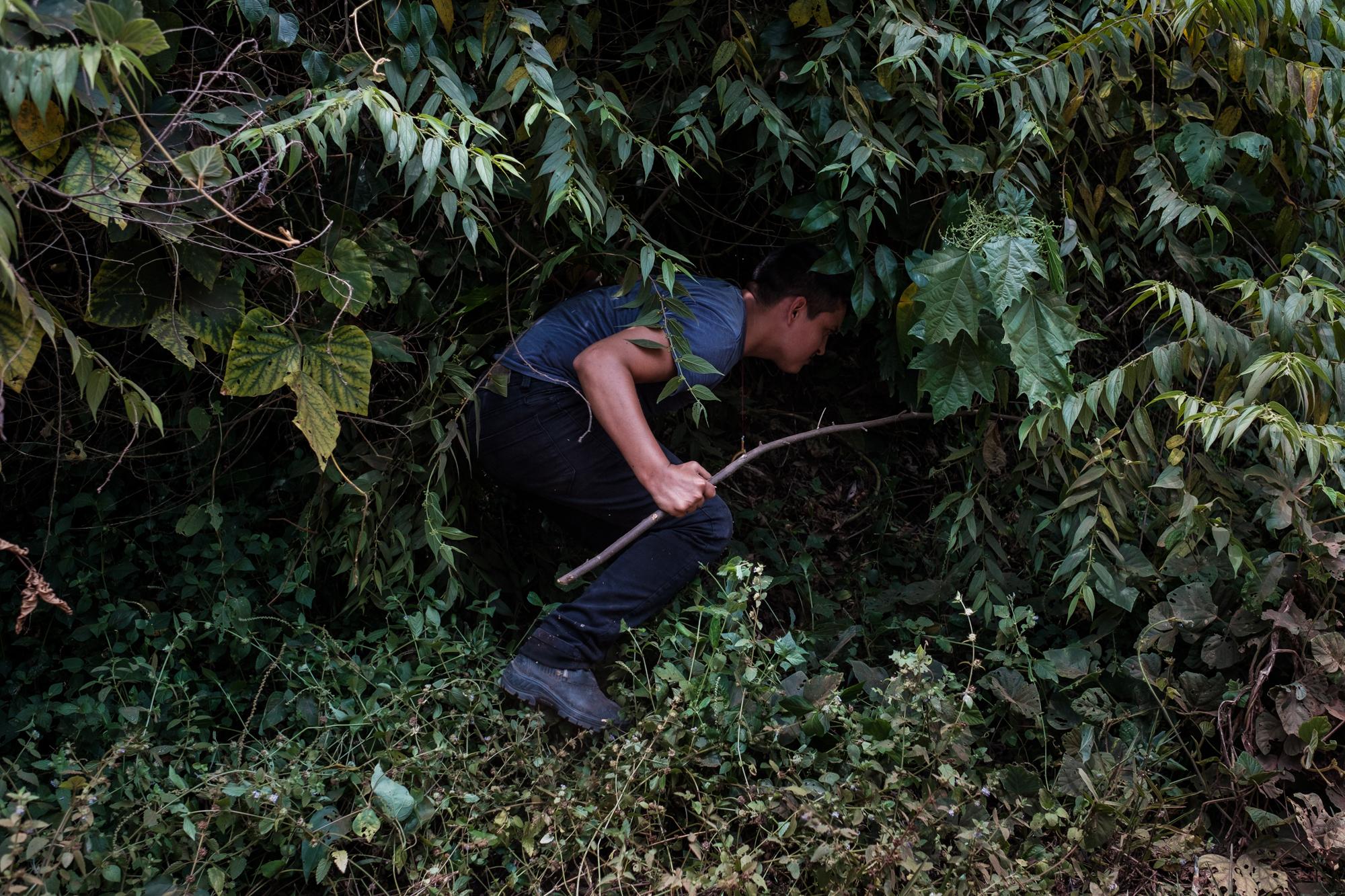 Indigenous law graduate Igor Curuaia, 27, looks for a snake in the woods near his community on the banks of the Xingu river near Altamira in...