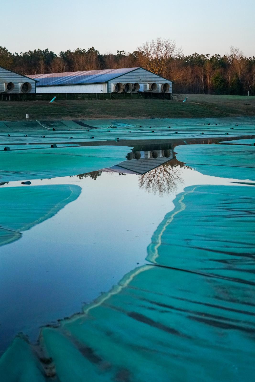 BioGas  - An irritagion lagoon is coverent by a tarp to conceal the...