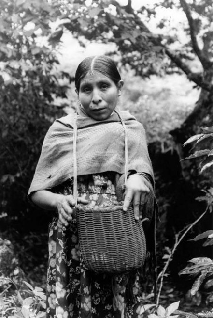 Campesina with a basket full of coffee.