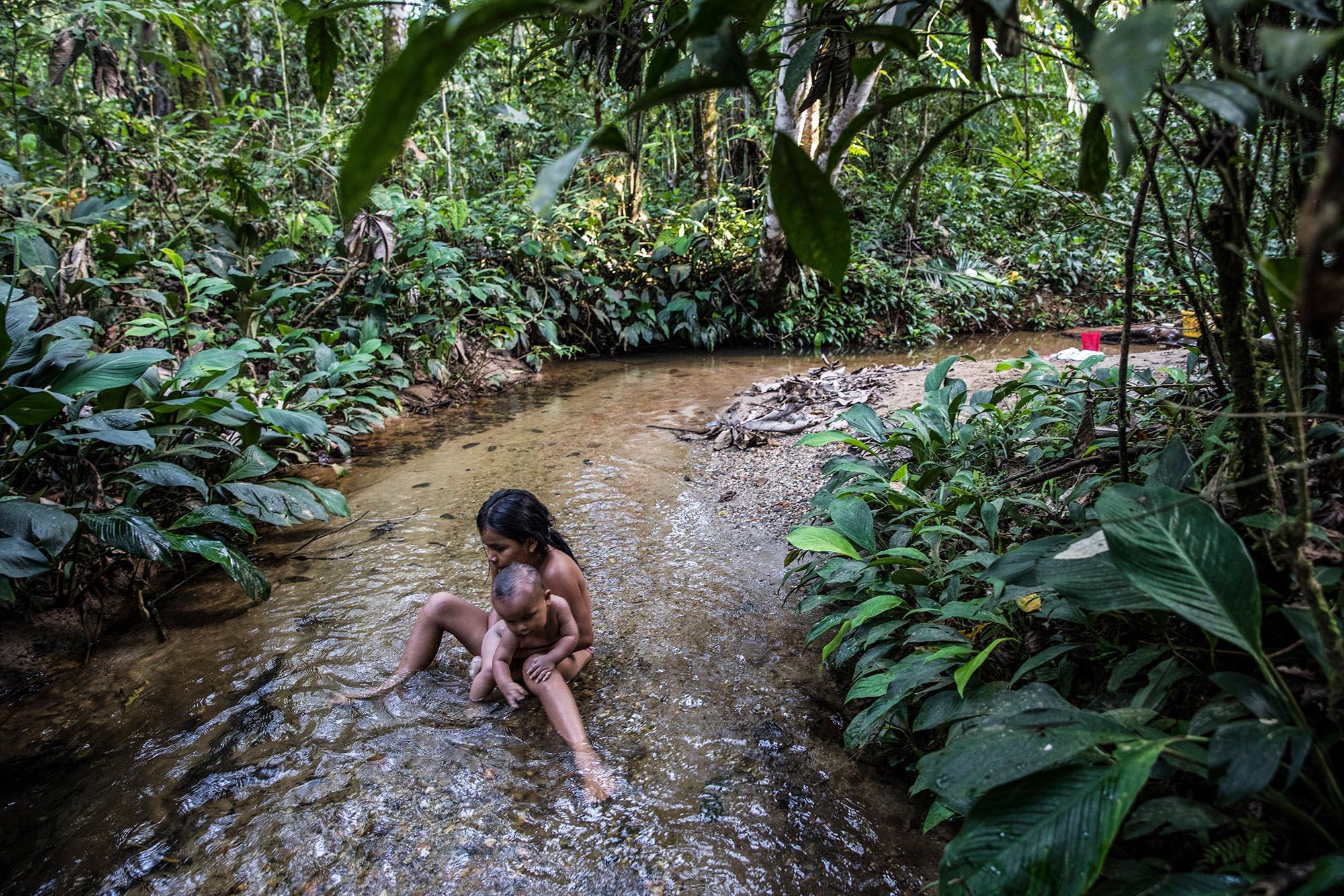 Ecuador, the living forest - Walkanga comes to bath her little brother. The native...