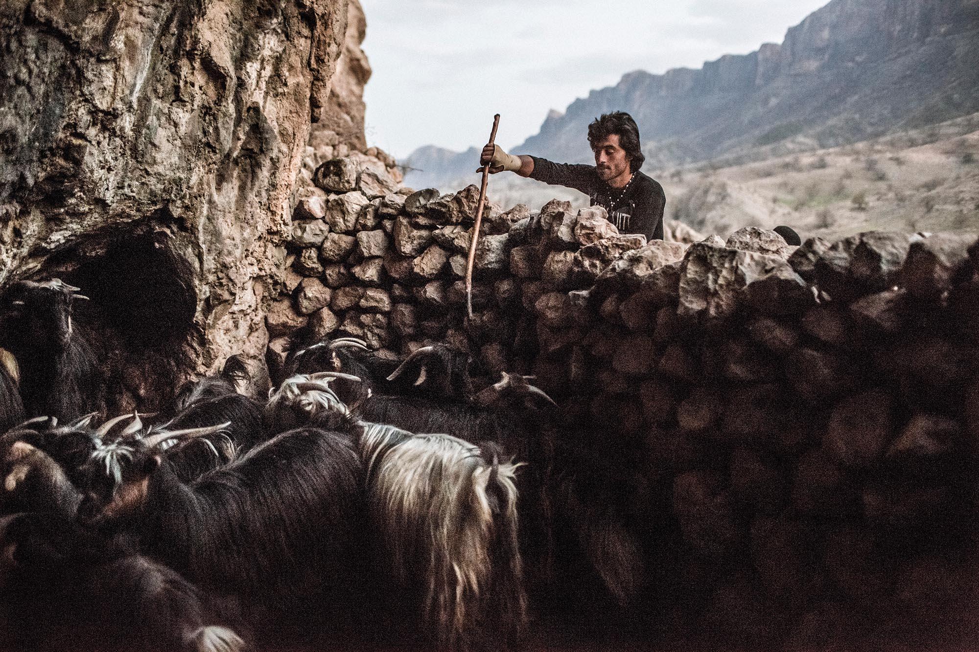 The last & lost nomades of Iran - The Hossein family migrates to the same site every year,...