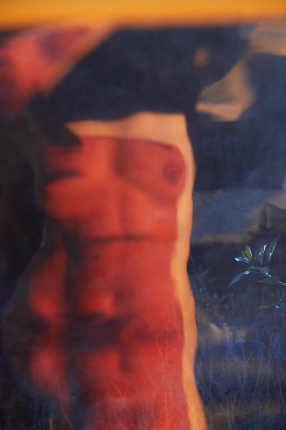 Image from STILL LIFE + NUDES -   