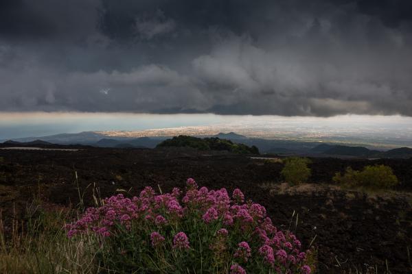 Catania from the Etna volcano | Buy this image
