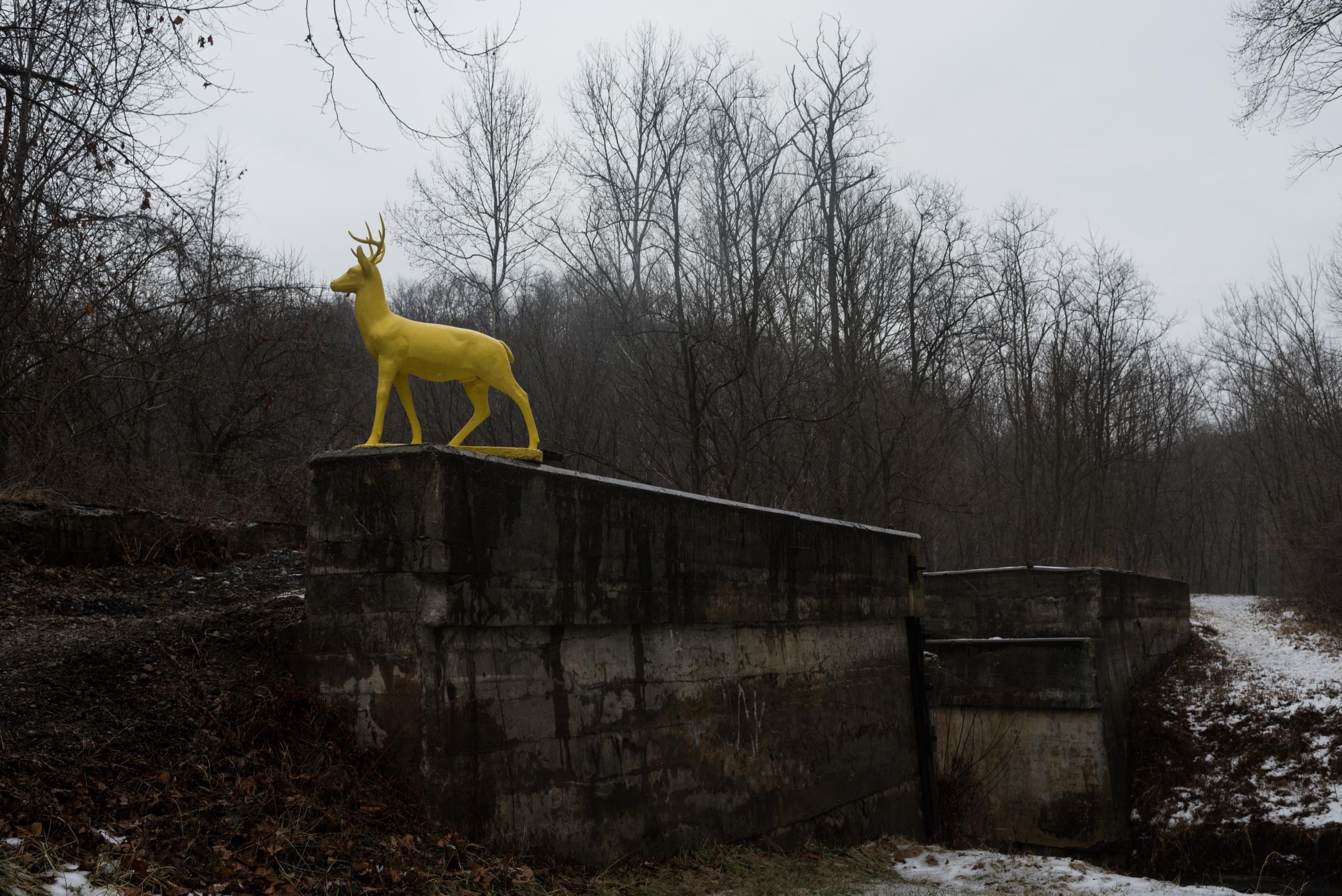 Coolville, Ohio - In 2014, Dave Rupe constructed a 300-pound deer statue...