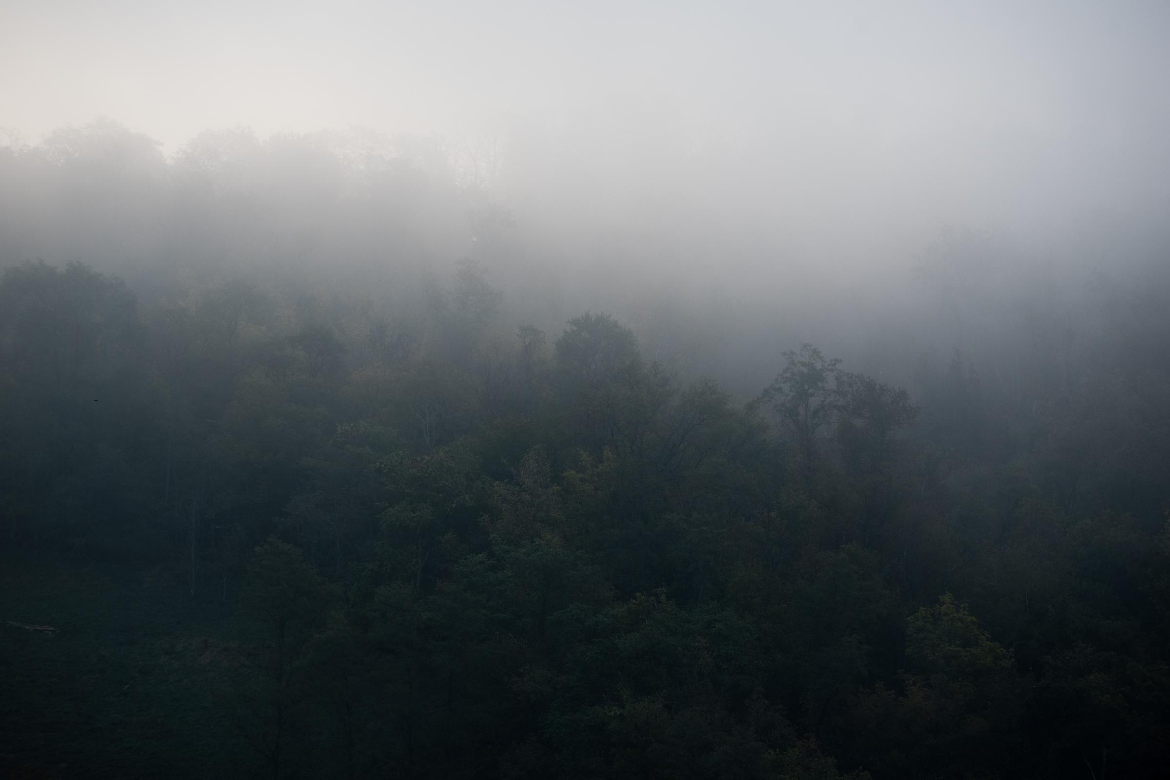 Endurance of the Spirit - The fog-wreathed hills of the unglaciated Allegheny...
