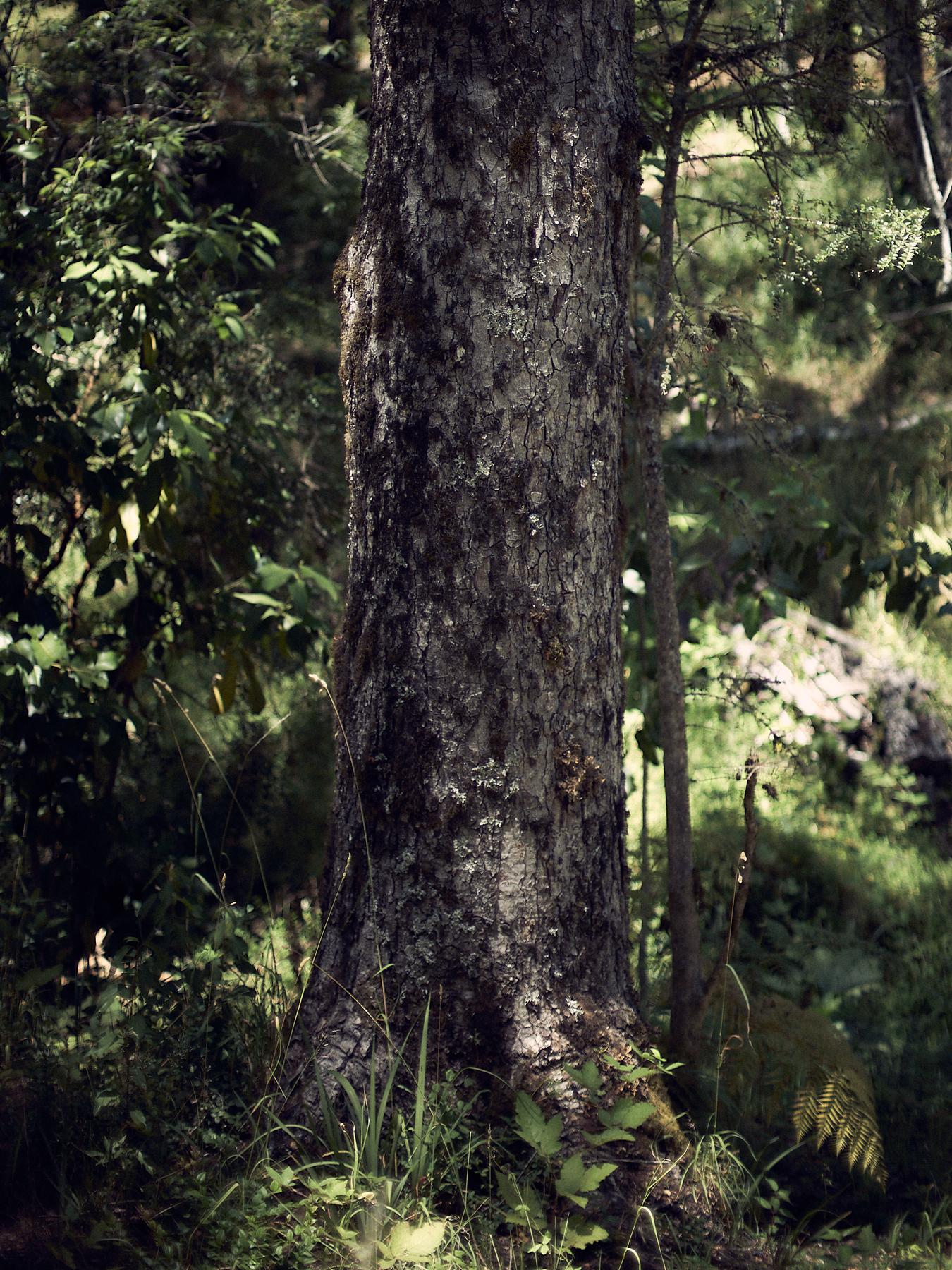 Art and Documentary Photography - Loading 202301_villarrica_visura__pablohassmann_1.jpg