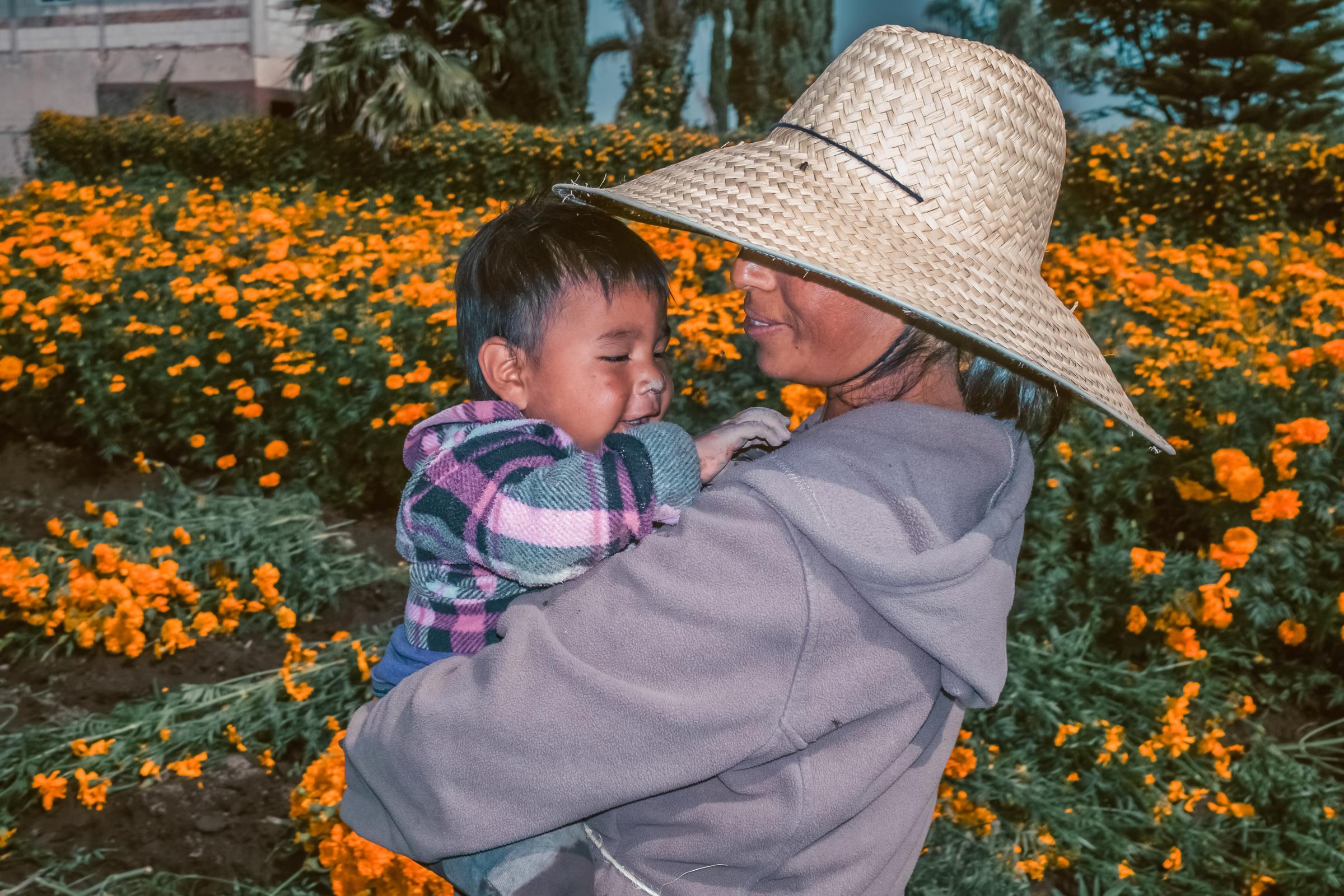 NPR - Meet the families harvesting the flowers that guide souls home on the Day of the Dead - Sara and her son Pablo during their work day harvesting...