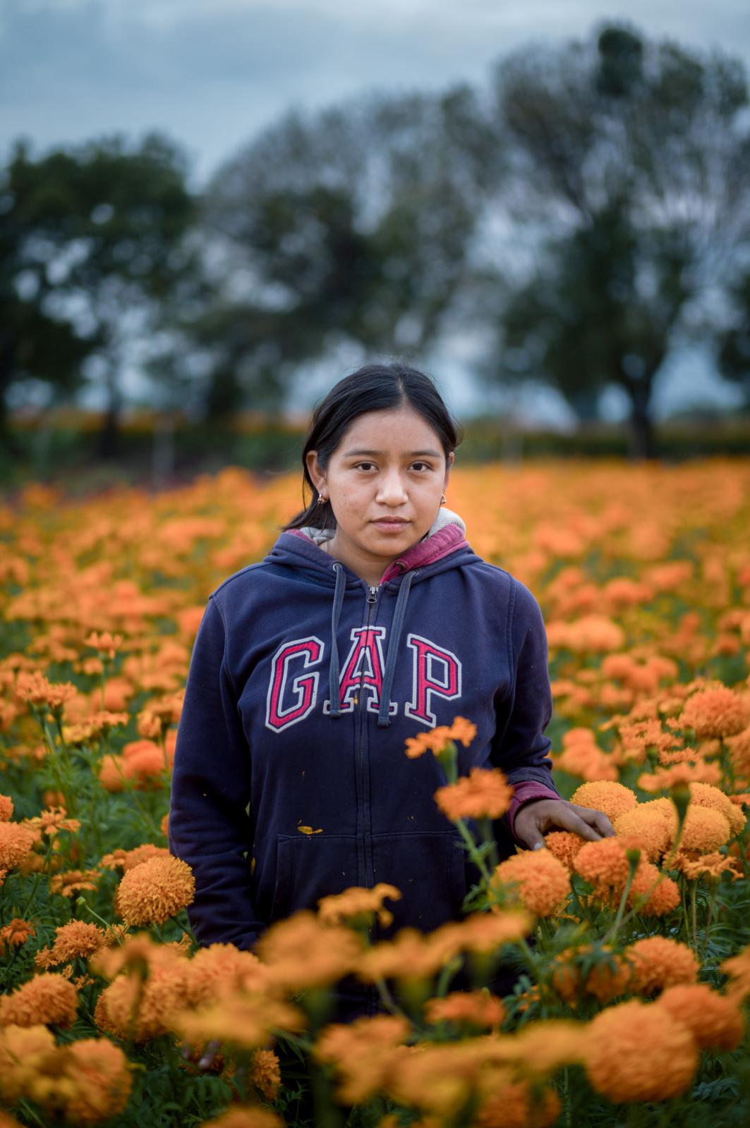 NPR - Meet the families harvesting the flowers that guide souls home on the Day of the Dead