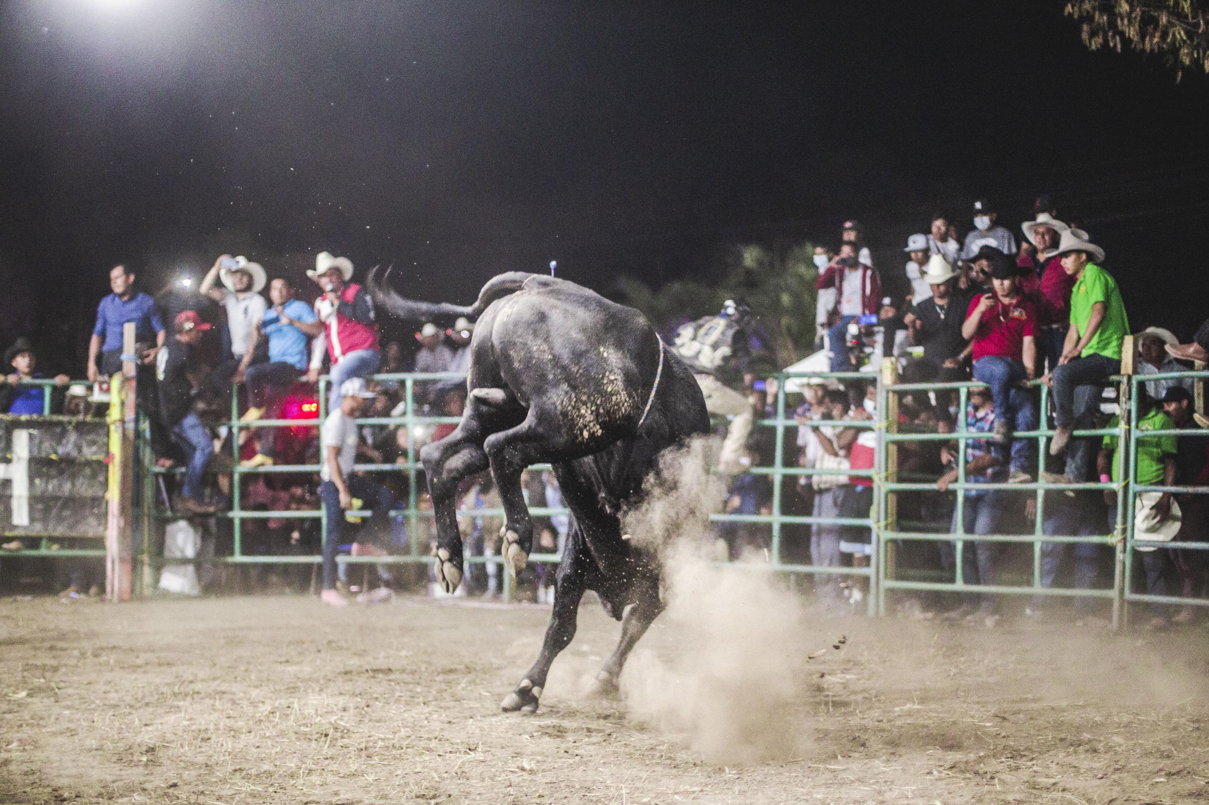 Bloomberg Businessweek - How a U.S. Remittance Windfall Saved Small Towns in Mexico
