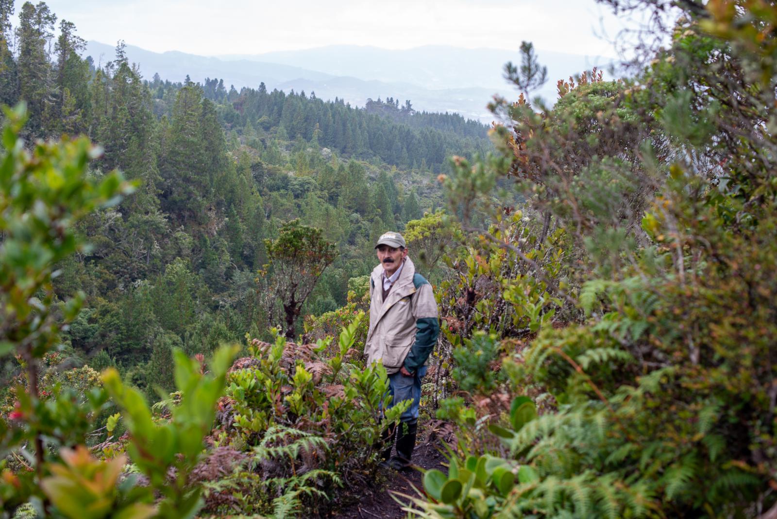 Mardoqueo Sanchez, Nature Reserve of the Civil Society (RNSC in Spansh) El Zoque guide. Although...