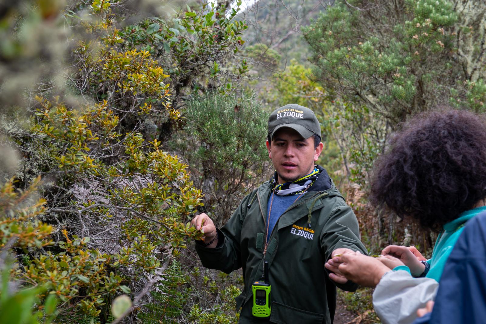 Santiago Sanchez, son of Mardoqueo Sanchez and also a guide in the RNSC El Zoque. He aspires to...