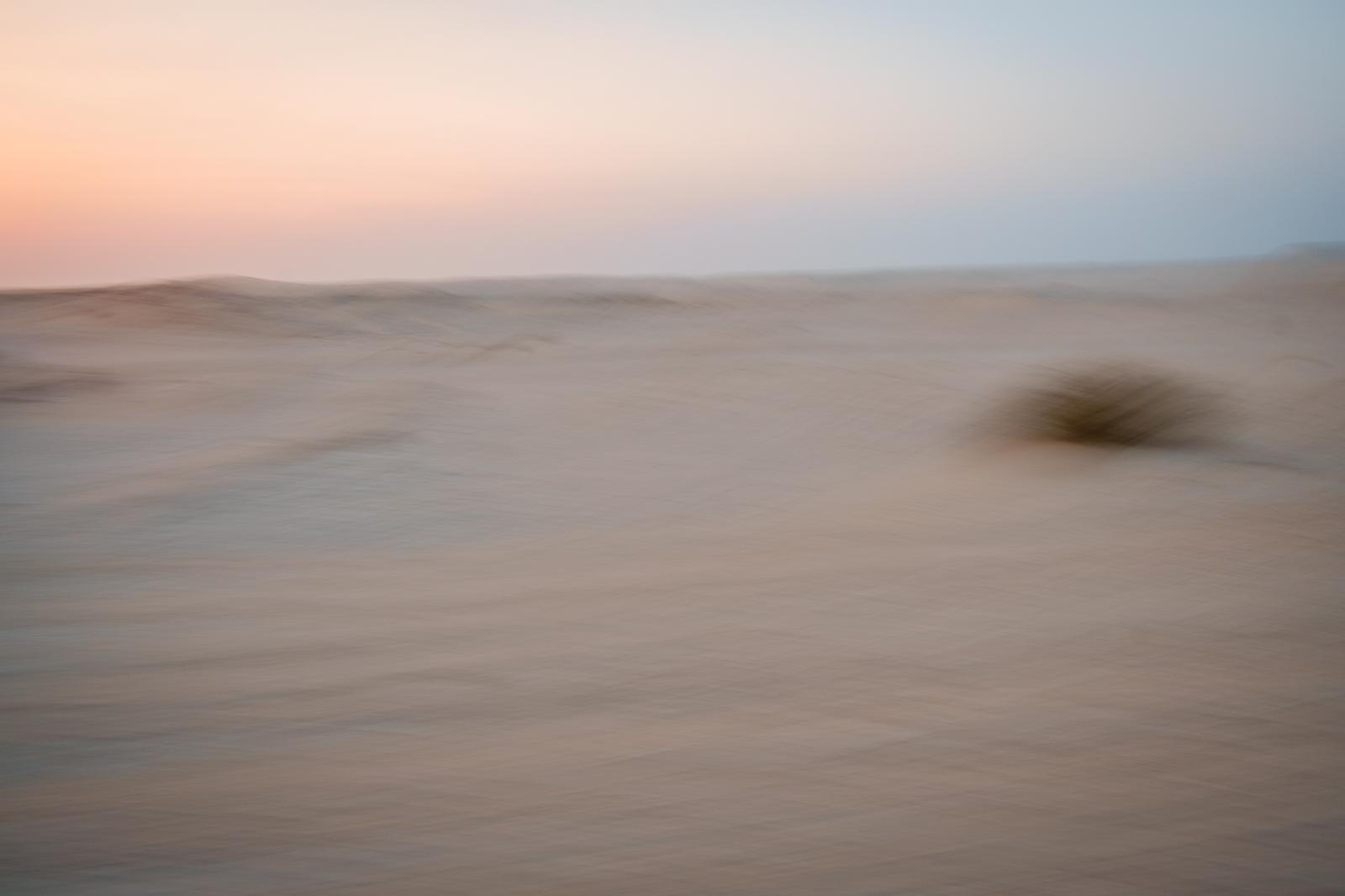 Desert Landscape | Buy this image