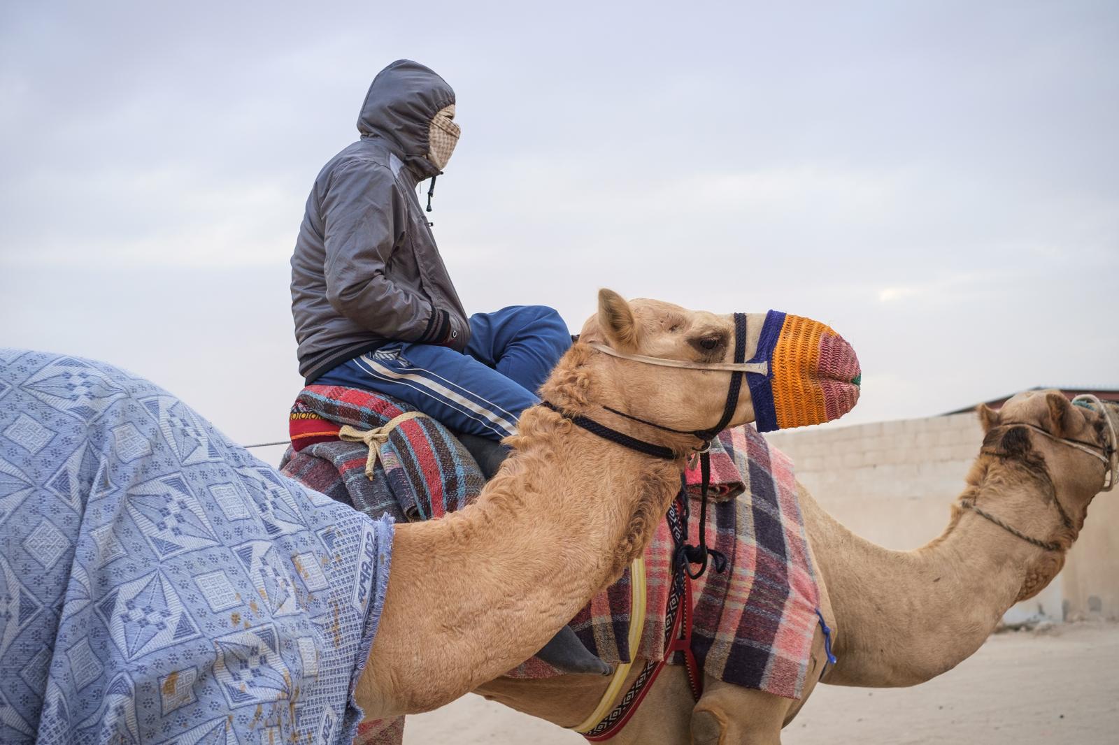 Training Camels at Al Shahaniya Camel Racetrack