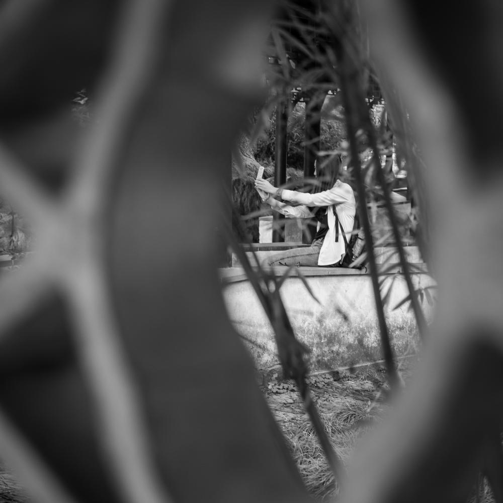 Tourist in the Humble Administrator's Garden