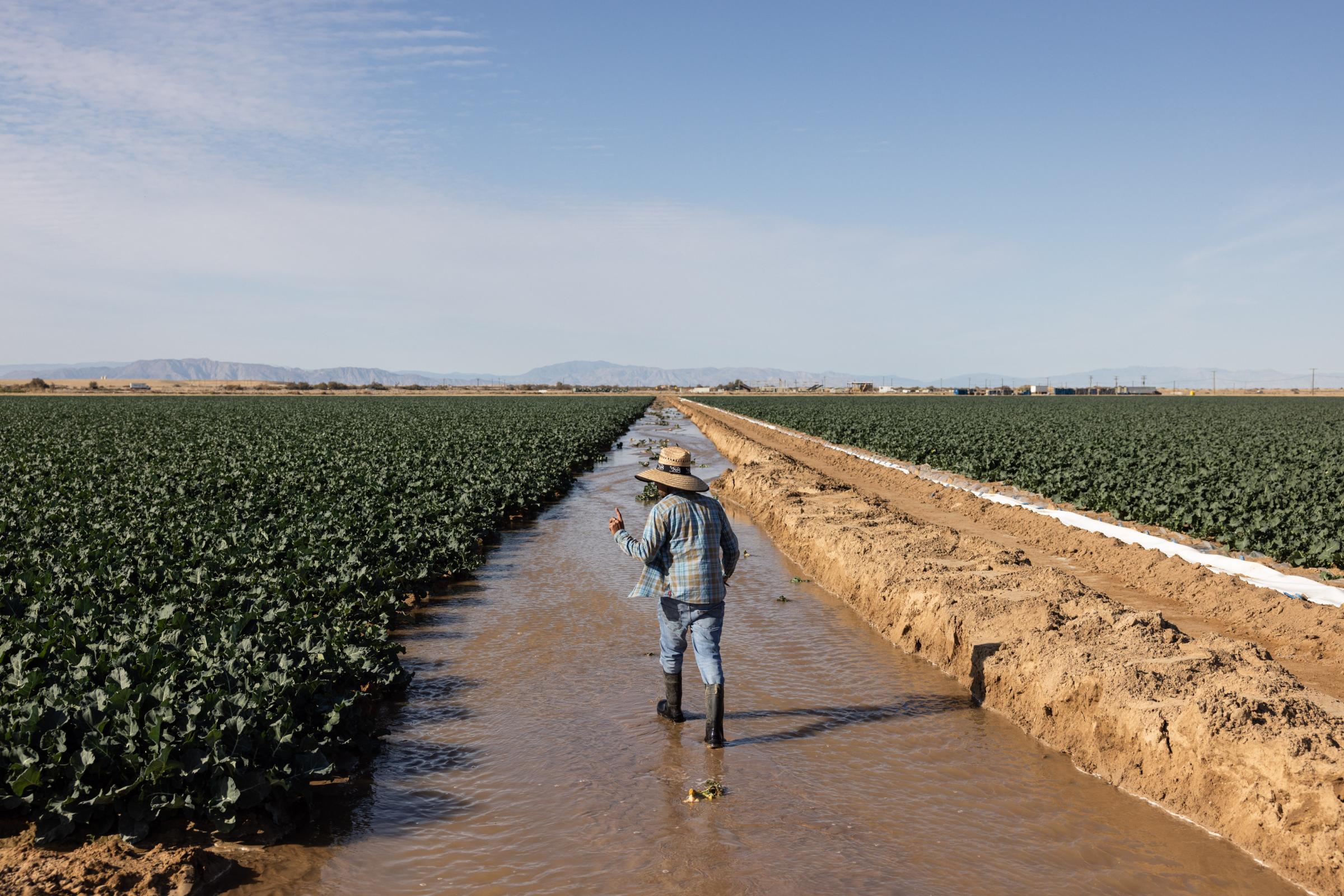  - The Salton Sea faces a crisis  - A farm worker is checking on an irrigation system...