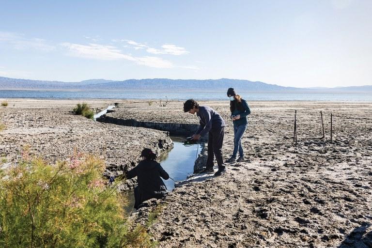 In search of answers at the Salton Sea