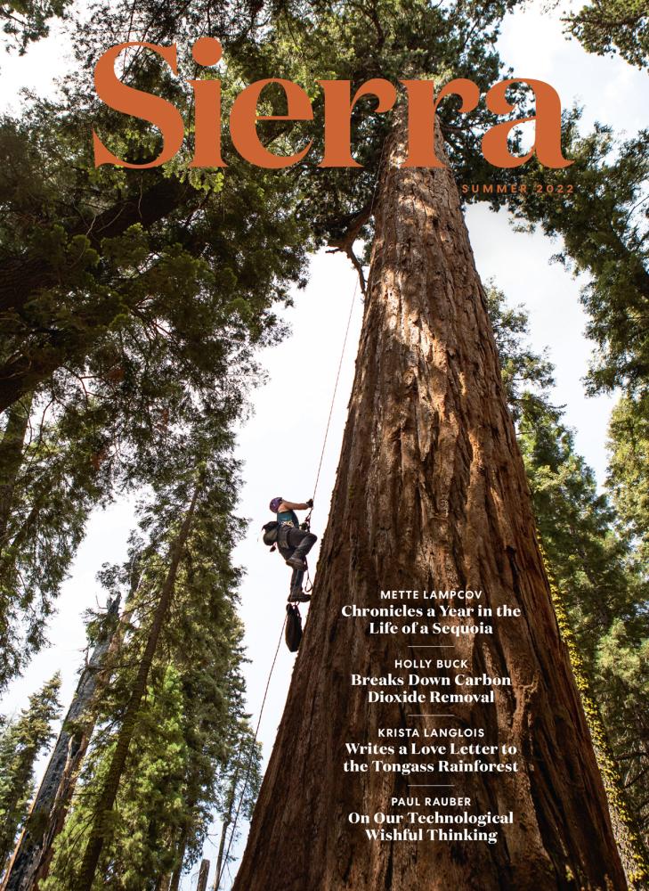 Sierra Magazine cover summer 2022