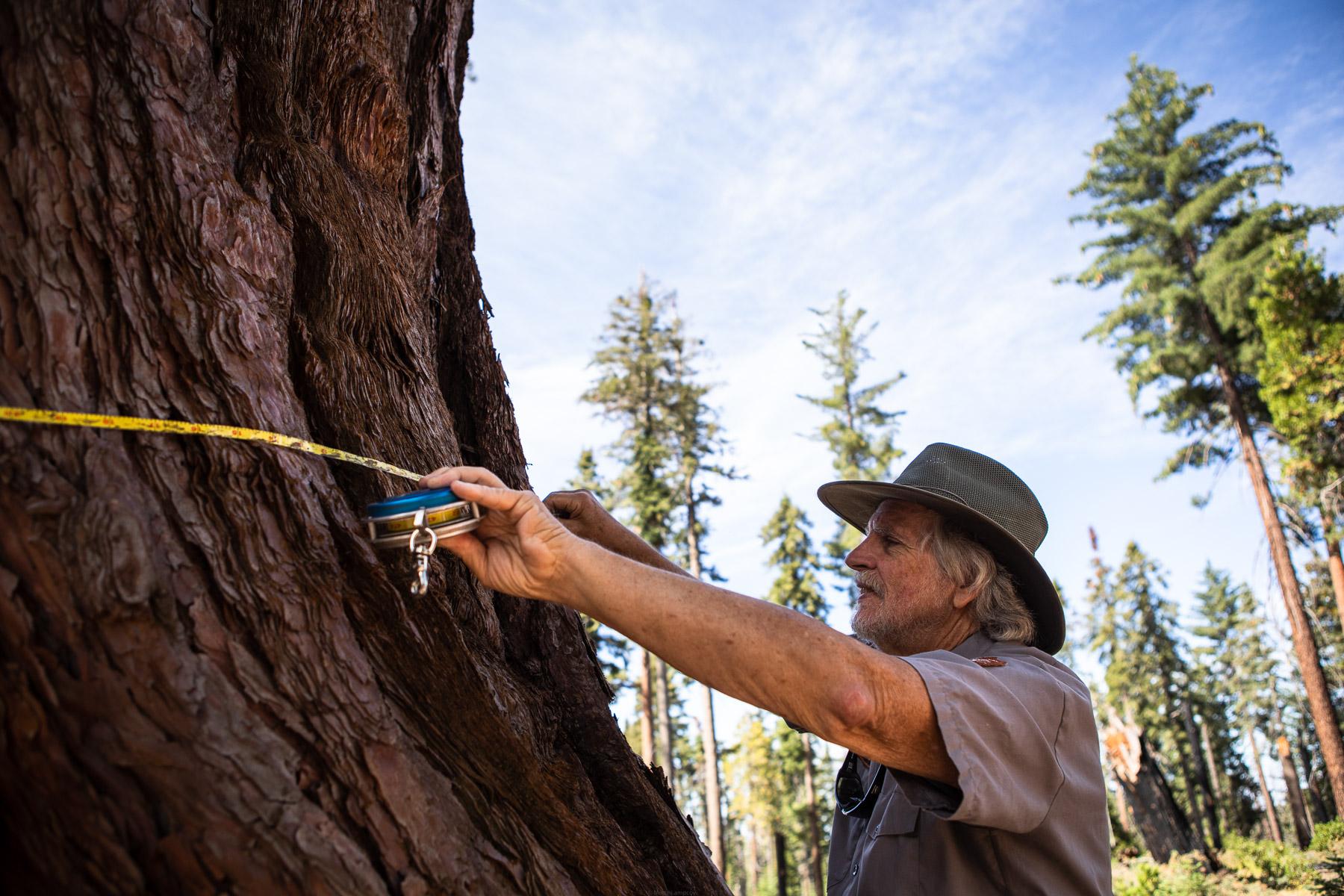 - Sequoia, a year in a burning forest - Tony Caprio fire ecologist for Sequoia and Kings Canyon...
