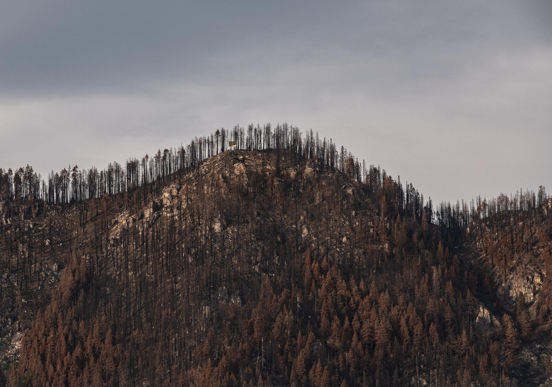 - Sequoia, a year in a burning forest - A mountain ridge in Sequoia National Forest burned by the...