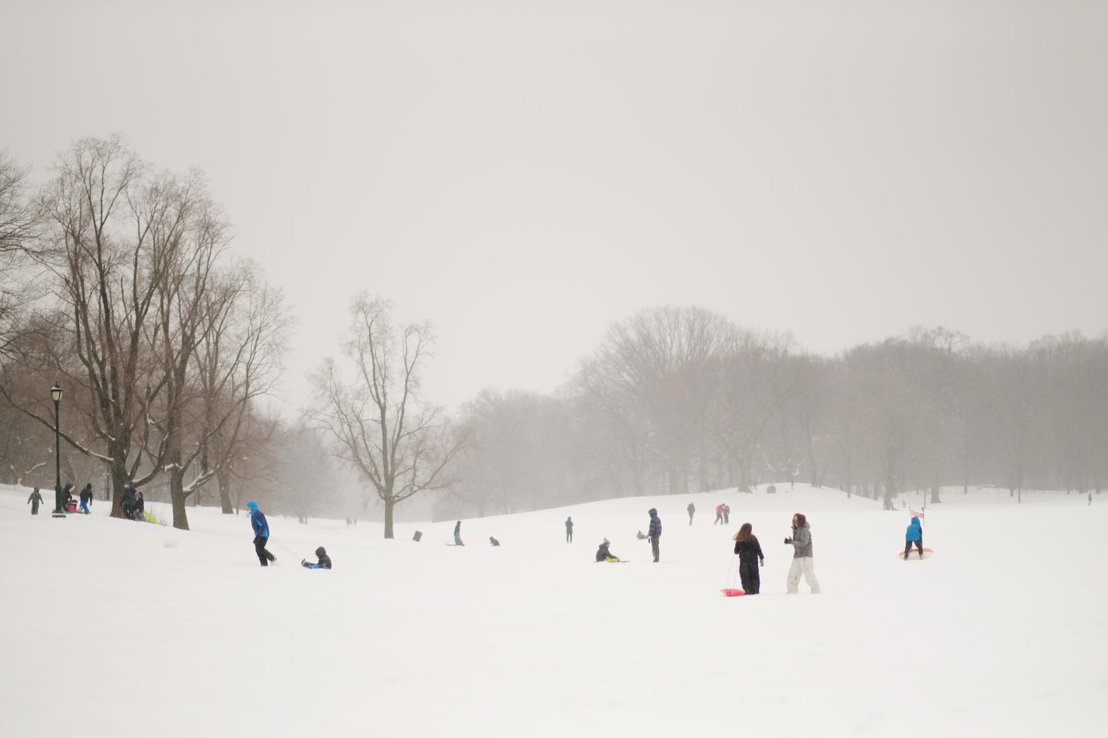 Prospect Park